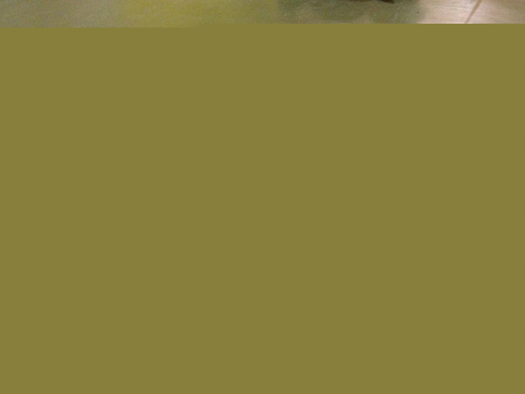 alberto_de_campo_hamster