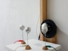hannes_hoelzl_pendulum