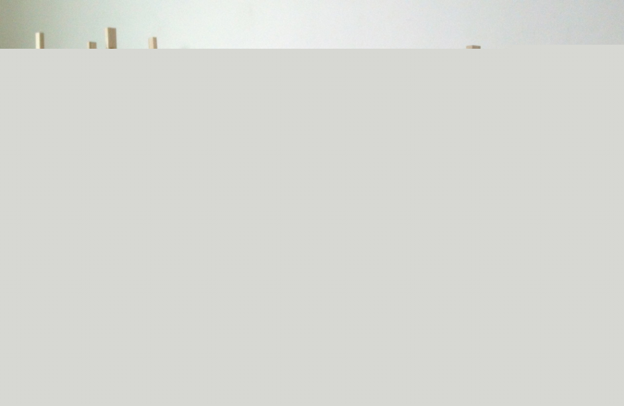 tobias_purfu%c3%ac%cb%86rst_sinpong